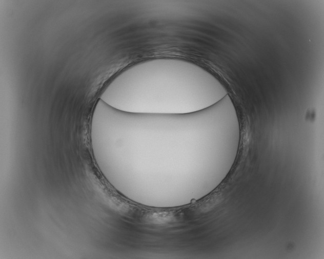 X0000113250353200909241617