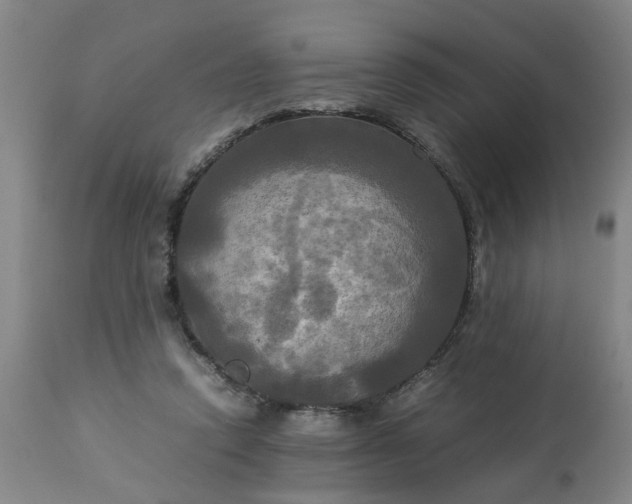 X0000113250354200909241617