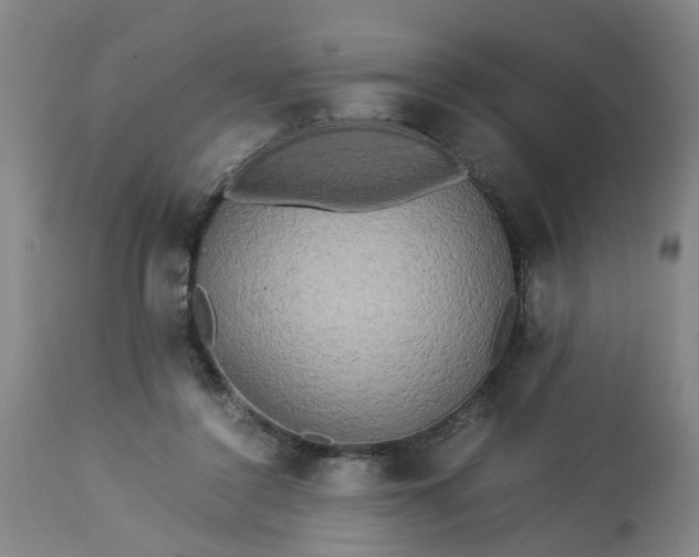 X0000113250356200909241617