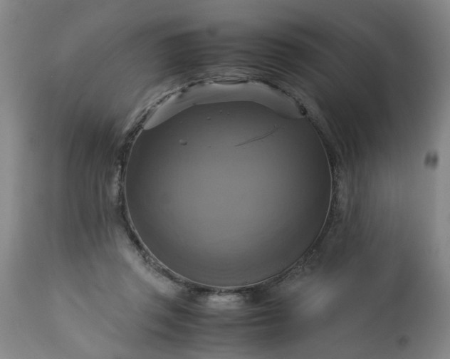 X0000113250357200909241617