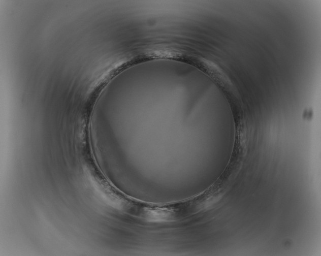 X0000113250359200909241617