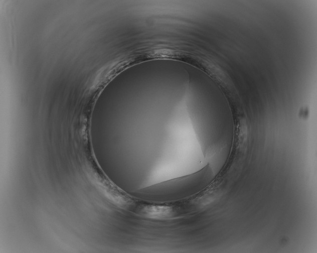 X0000113250361200909241617