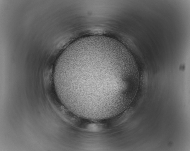 X0000113250364200909241617