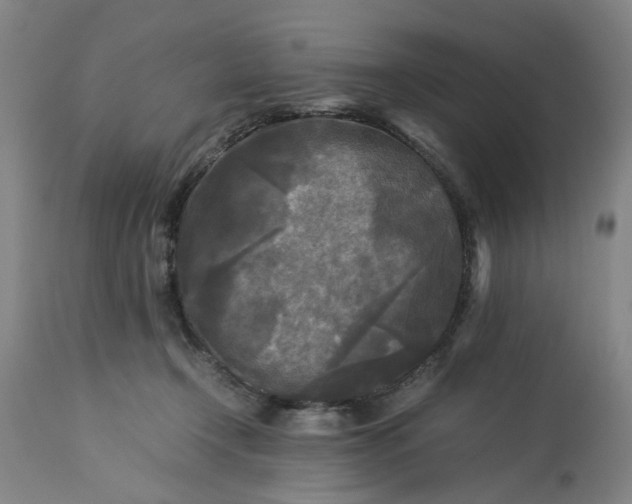 X0000113250366200909241617