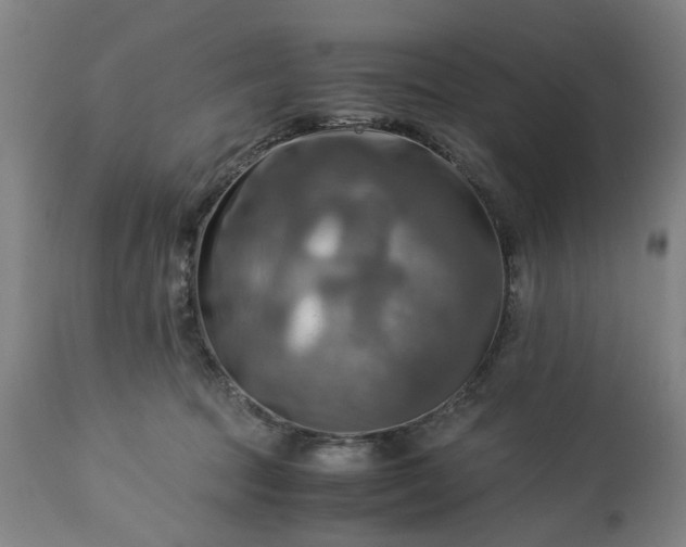 X0000113250369200909241617