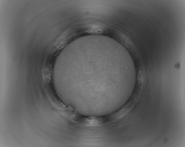 X0000113250370200909241617