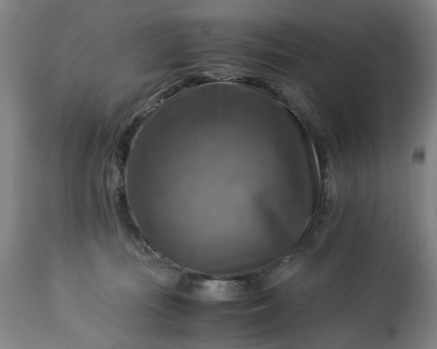 X0000113250371200909241617