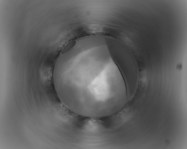 X0000113250372200909241617