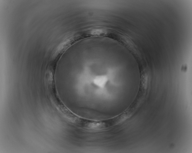 X0000113250375200909241617