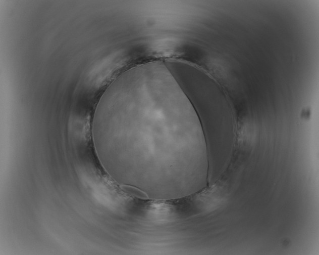 X0000113250376200909241617