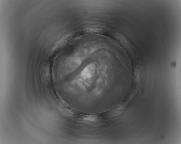 X0000113250377200909241617