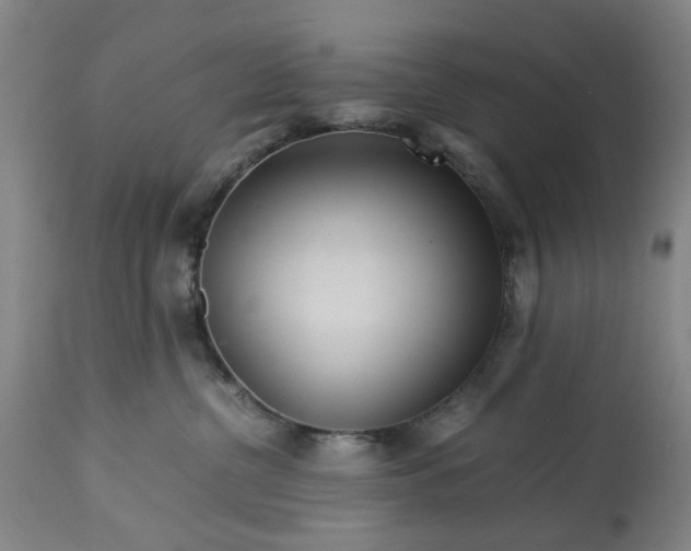 X0000113250380200909241617