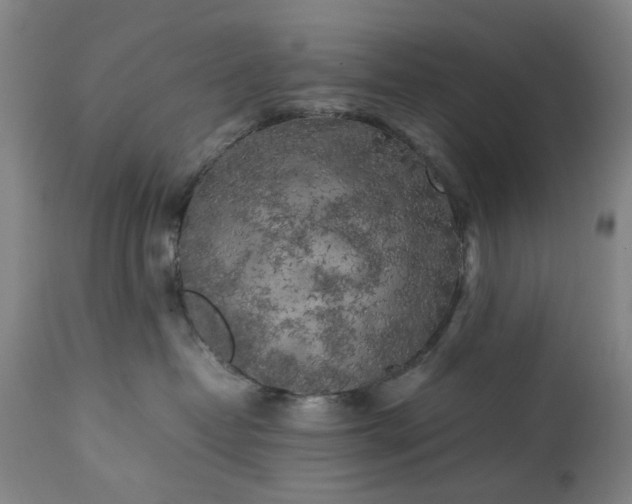 X0000113250382200909241617