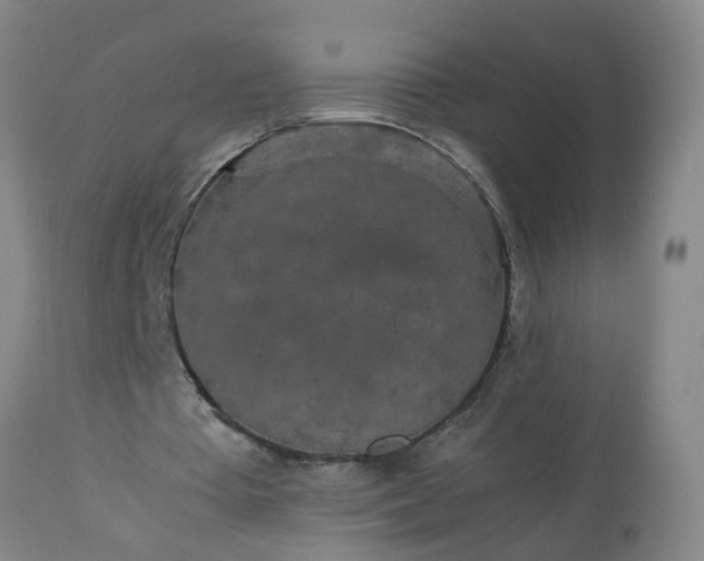 X0000113250385200909241616