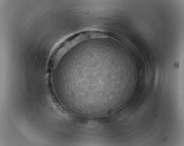 X0000113250388200909241616