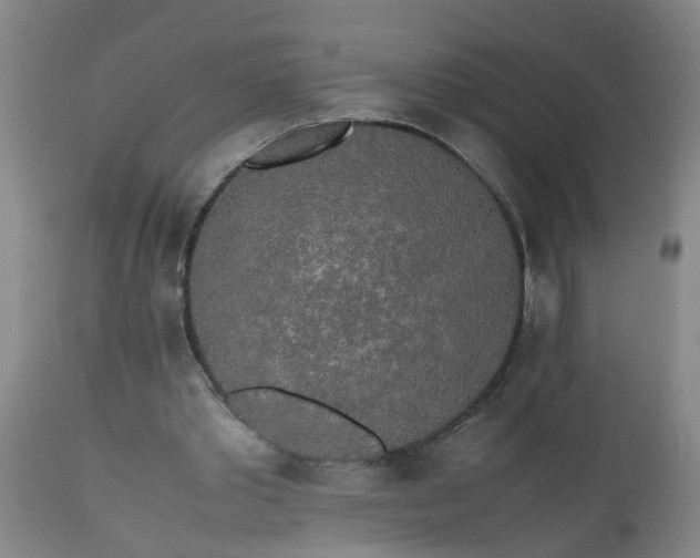 X0000113250389200909241616