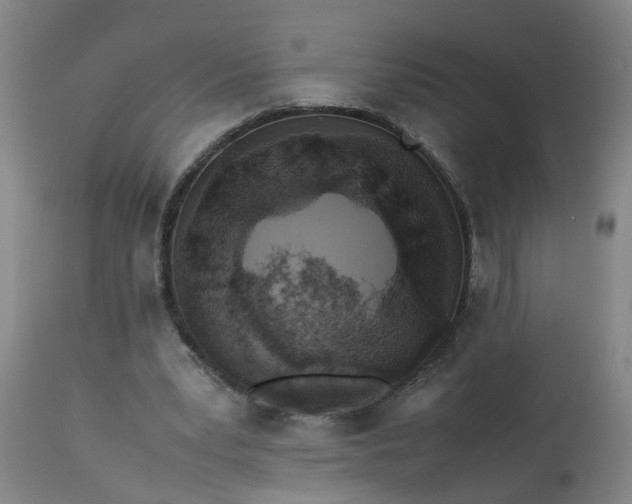 X0000113250391200909241616