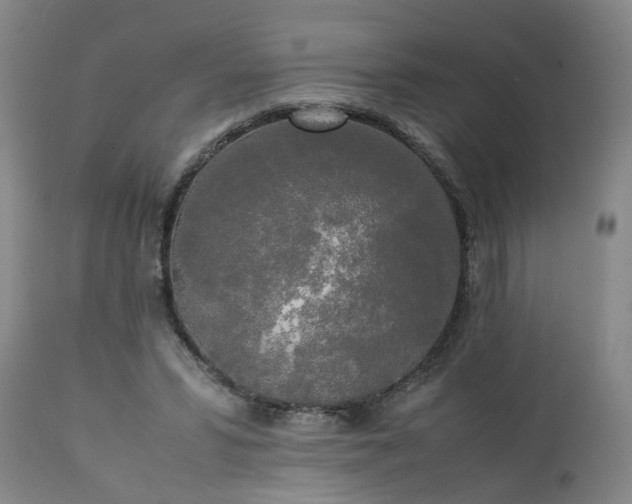 X0000113250399200909241616