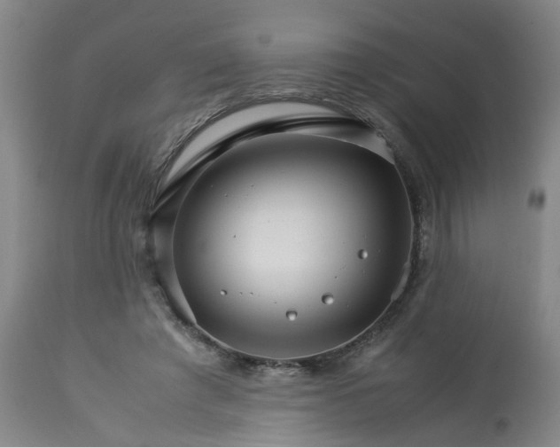 X0000113250401200909241616