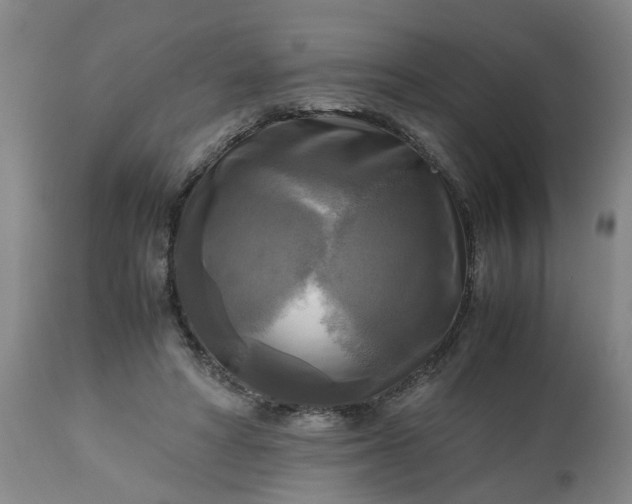 X0000113250402200909241616