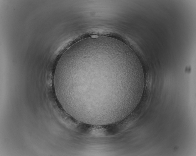 X0000113250403200909241616