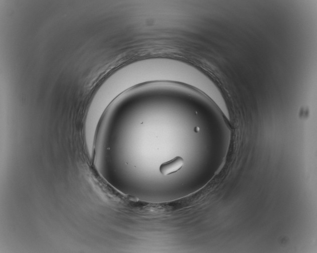 X0000113250405200909241616