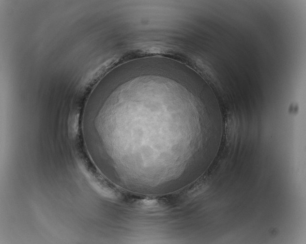 X0000113250406200909241616