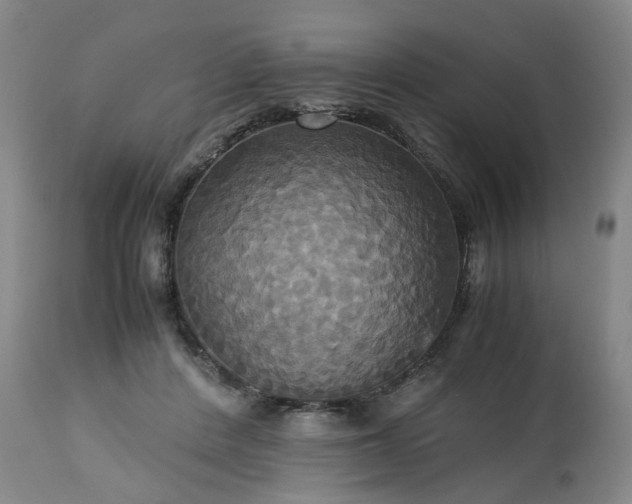 X0000113250408200909241616