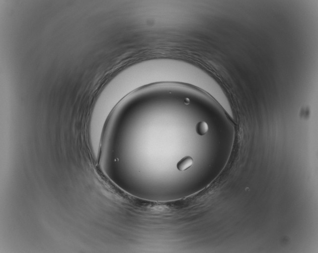 X0000113250409200909241616