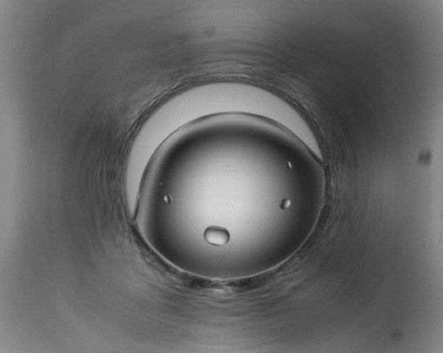 X0000113250411200909241616