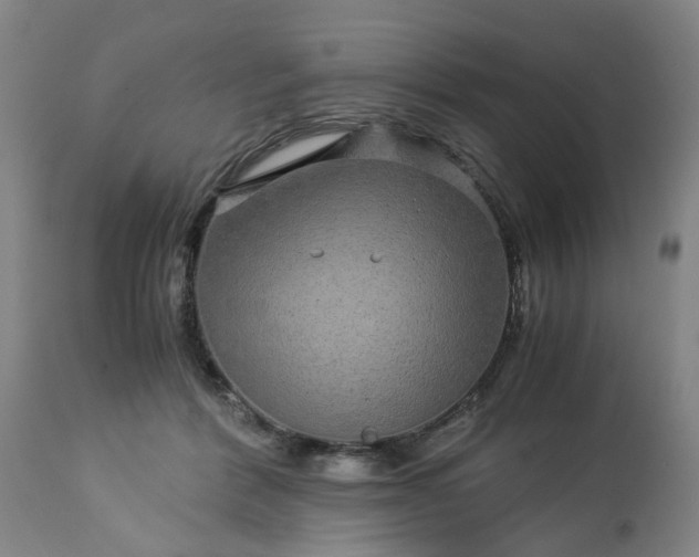 X0000113250412200909241616