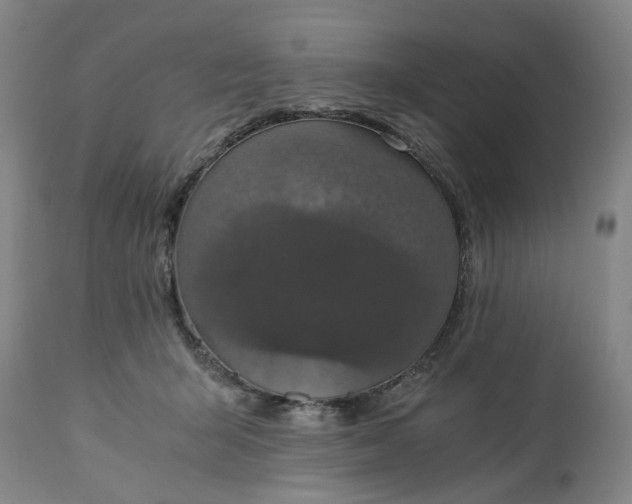 X0000113250415200909241616