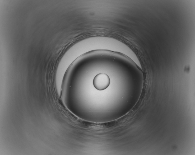 X0000113250417200909241616