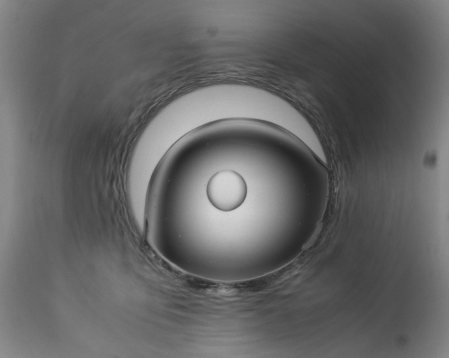 X0000113250419200909241616