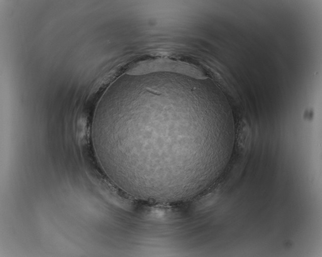 X0000113250420200909241616