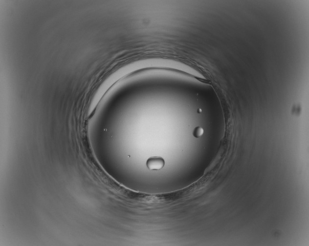 X0000113250421200909241616