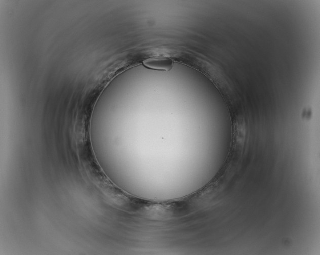 X0000113250422200909241616