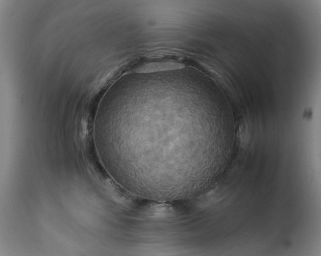 X0000113250424200909241616