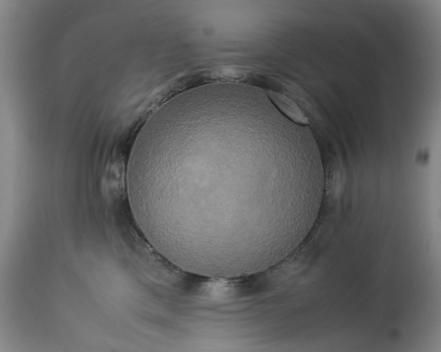 X0000113250425200909241616