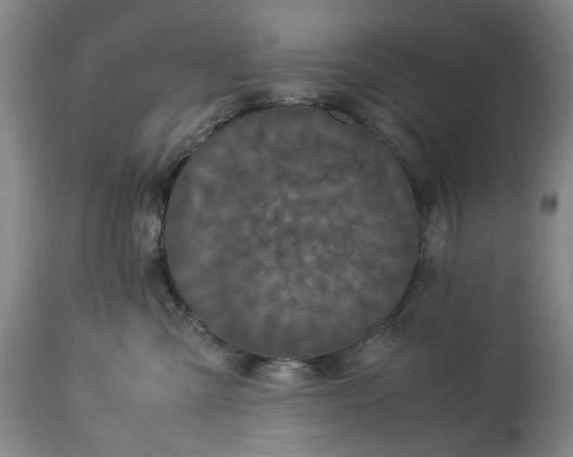 X0000113250427200909241616