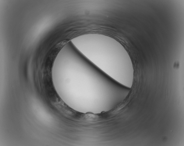 X0000113250429200909241616