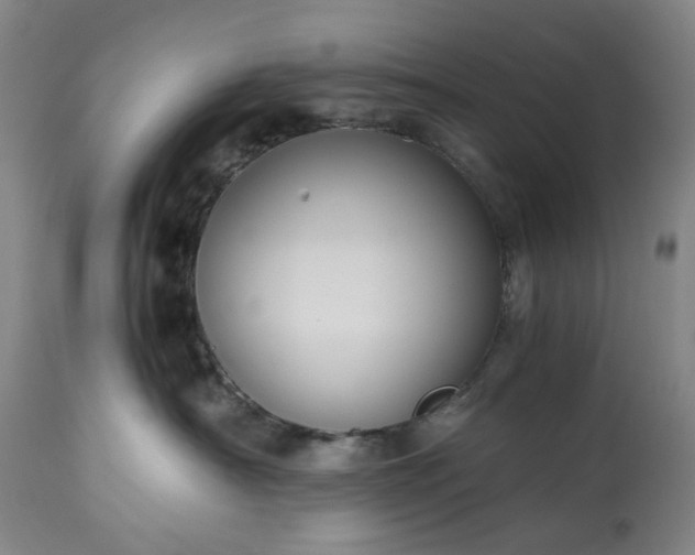 X0000113250430200909241616