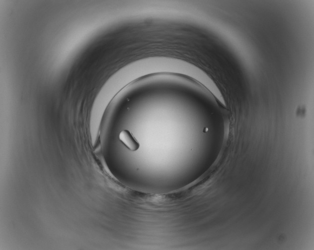 X0000113250431200909241616