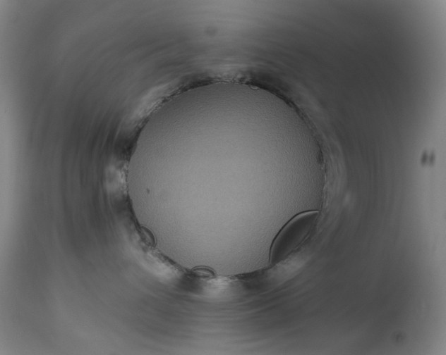 X0000113250432200909241616