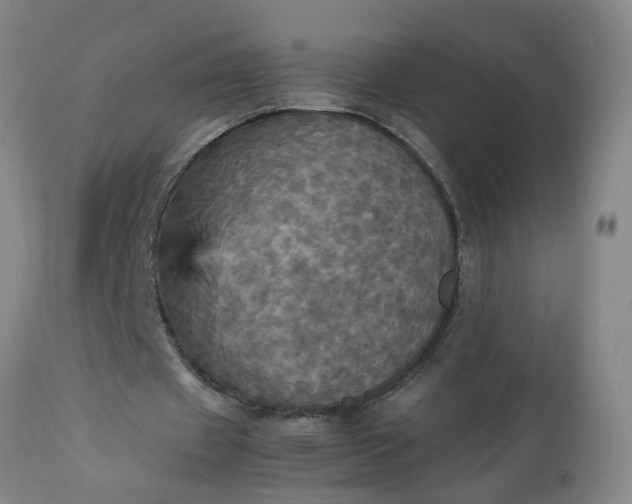 X0000113250433200909241615