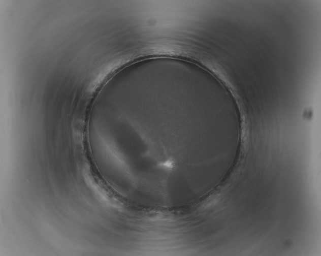 X0000113250434200909241615