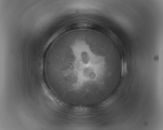 X0000113250435200909241615