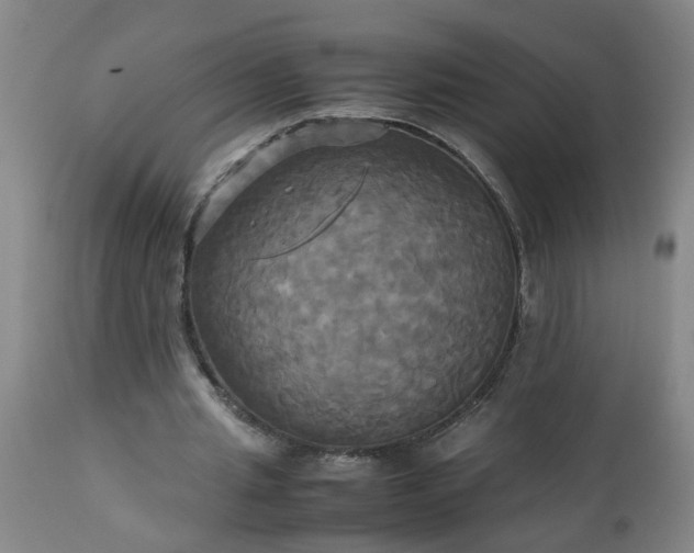 X0000113250437200909241615