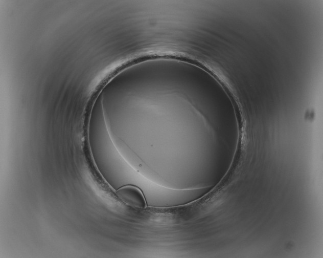 X0000113250438200909241615