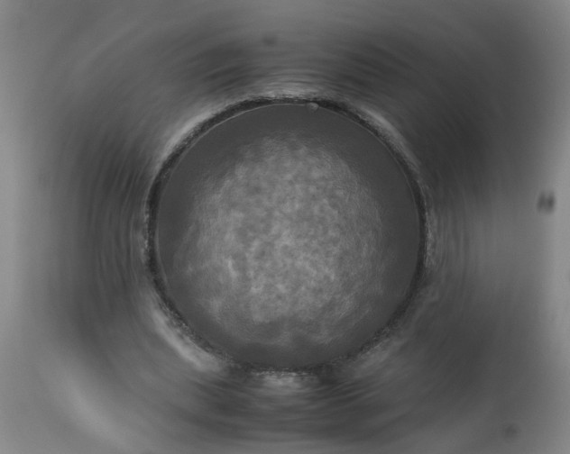 X0000113250439200909241615